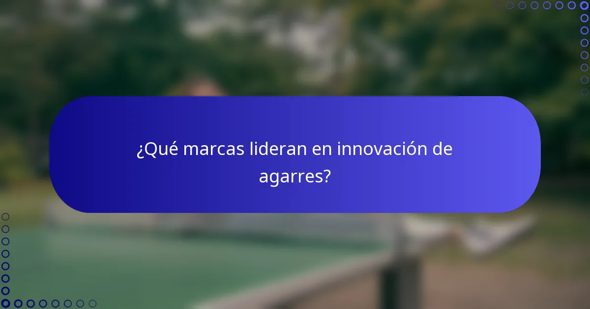 ¿Qué marcas lideran en innovación de agarres?